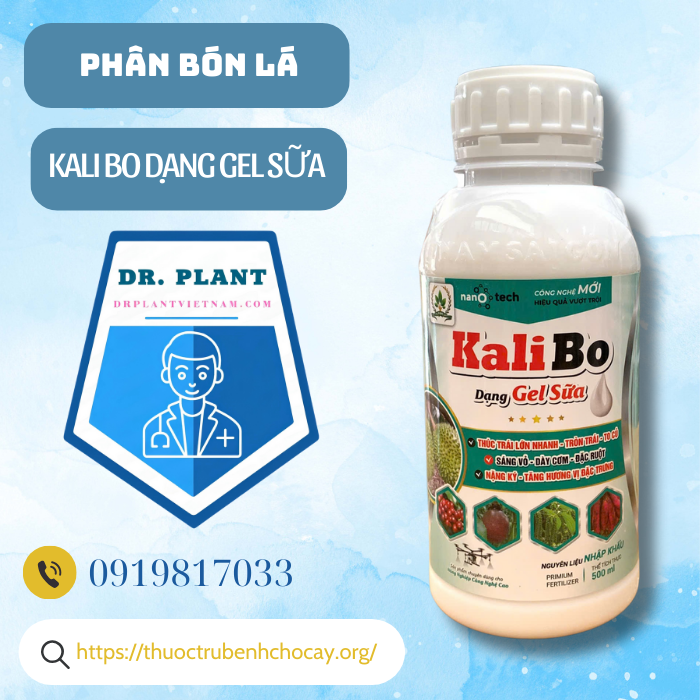 KALI BO DẠNG GEL SỮA KALI BO DẠNG GEL SỮA